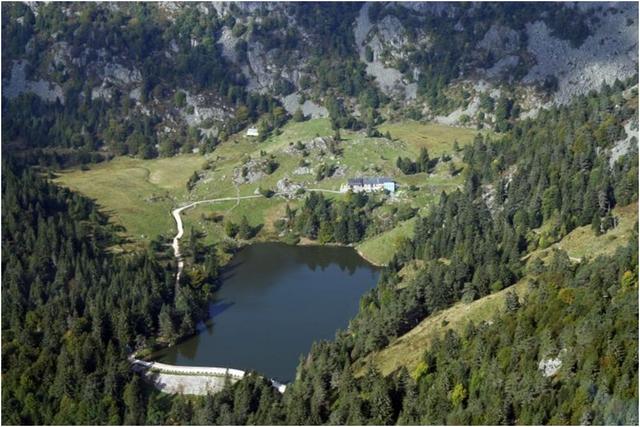 Vallée de Munster : lac des Truites