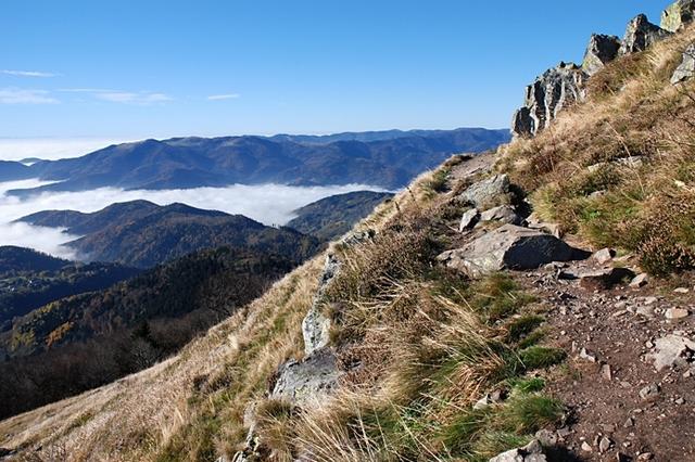 Vallée vosgienne depuis le Grand Ballon