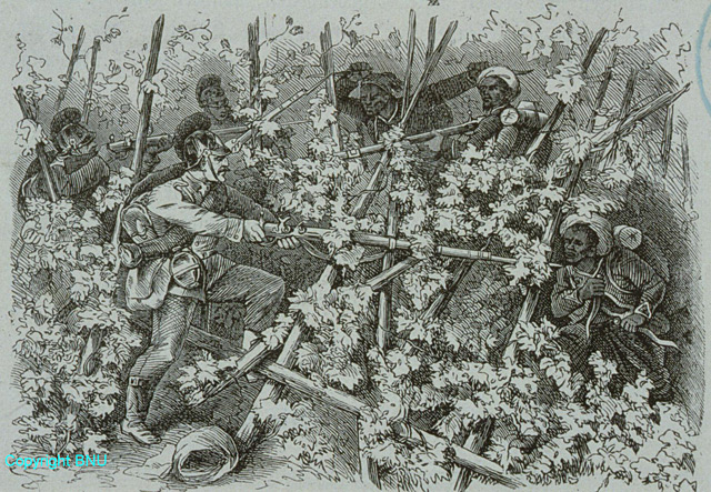 Bayrische Infanterie im Kampfe mit Zuaben und Turcos in einem Hopfengarten bei Weissenburg