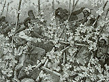 Bayrische Infanterie im Kampfe mit Zuaben und Turcos in einem Hopfengarten bei Weissenburg