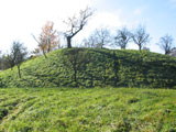 Schœnau : motte castrale