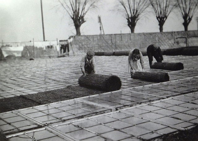 Strasbourg : maraîchers de la Robertsau