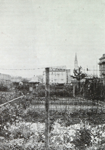 Strasbourg : jardins ouvriers de la place d'Austerlitz