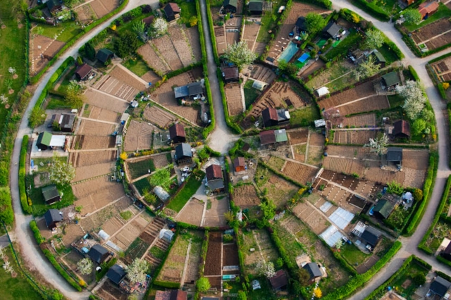 Strasbourg : jardins familiaux d'Hautepierre