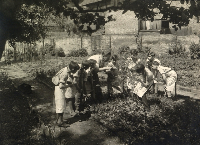 Cours de jardinage dans un jardin scolaire