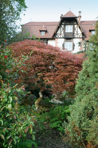 Obernai : parc de la Leonardsau - jardin japonais