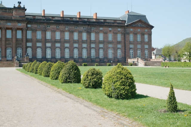 Saverne : parc du château des Rohan - topiaires