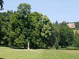 Kintzheim : parc du château Favier - grande percée