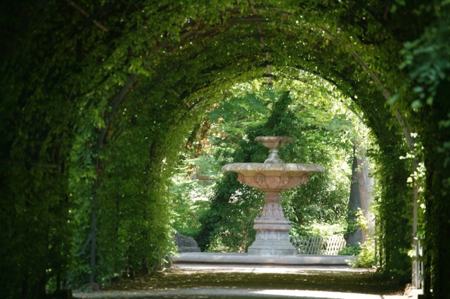 Strasbourg : parc de l'Orangerie - tonnelle