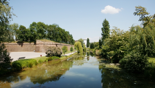 Strasbourg : parc de la Citadelle - perspective du fossé 