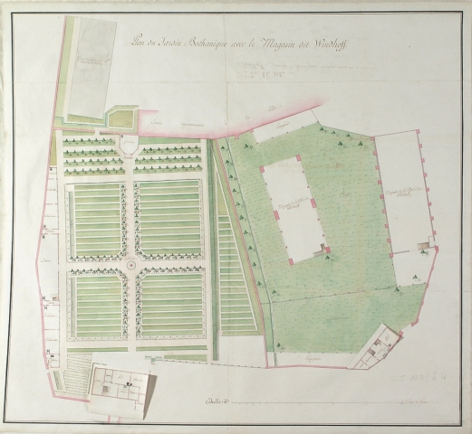 Strasbourg : premier jardin botanique de l’Université - plan