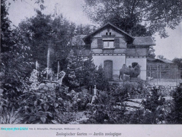 Mulhouse : jardin zoologique et botanique v. 1900