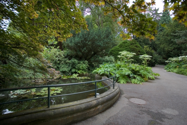 Mulhouse : jardin zoologique et botanique - bassin romantique