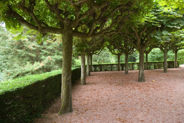 Mulhouse : jardin zoologique et botanique - quinconce