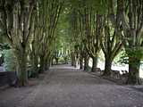 Mulhouse : jardin zoologique et botanique - avenue d'arbres