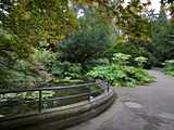 Mulhouse : jardin zoologique et botanique - bassin romantique