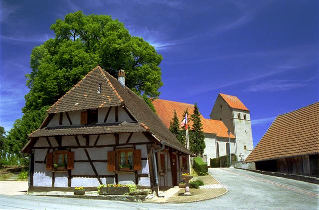 Ferme d'Obermorschwiller 