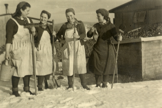 Déblaiement de la neige.