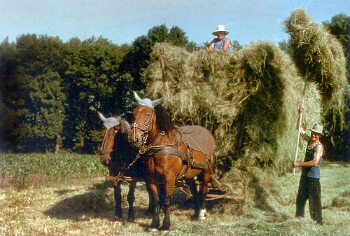 Agriculture traditionnelle 