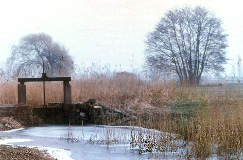 Ancien réseau d'irrigation 