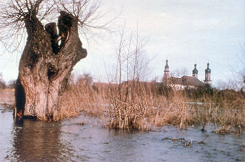 Crue devant l'abbaye d'Ebersmunster 