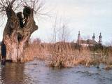 Crue devant l'abbaye d'Ebersmunster 