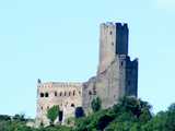 Château de la Wasenbourg : mur bouclier - Photo Christina T