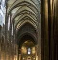 Cathédrale Notre-Dame de Strasbourg : nef  - Photo Albin Denooz, 2007