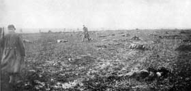 Tués français et allemands lors de l’offensive d’automne 1915 en Champagne.