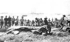  Débarquement dans la baie de Suvla. Août 1915.