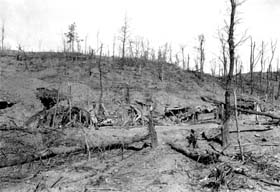 Paysage de bataille après un assaut des troupes italiennes en mais 1915 sur le plateau d’Asiago, dans les Alpes du Trentin.