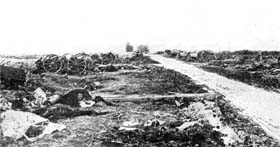  Le champ de bataille dévasté sur la route de Loos, 1915. 