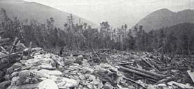 Le front à Metzeral au printemps 1915 : dévastation au Braunkopf.