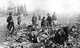 Une section belge de mitrailleurs prend position dans un champ en attendant l’offensive allemande.