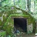 Hartmannswillerkopf. Abri de la « Badische Landwehr » entre les courbes C5 et C6 de la voie serpentine. - Photo Brun Georges. 