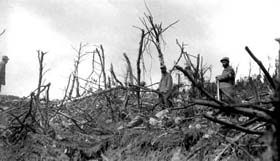 Soldats au milieu d'un bosquet saccagé sur la côte 830 à Breitenbach près de Munster. 