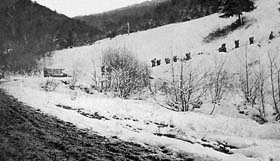 Patrouille de Chasseurs Alpins dans le massif du Hartmannswillerkopf. 