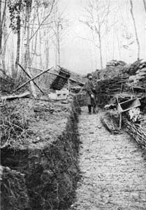  Tranchée vers le sommet du Hartmannswillerkopf. 