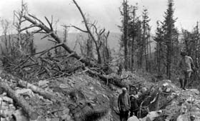  Tranchée bouleversée au Hartmannswillerkopf 