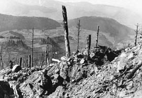 Les pentes du massif bombardées du Lingekopf en mai 1917. Les combats les plus durs sont déjà un souvenir.