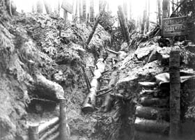 Bois bouleversé par les Minenwerfers sur la côte 675, dans le secteur de Ravines, à proximité de Moyenmoutier.. 