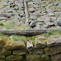 Reconstitution de Murus Gallicus, camp celte de la Bure, près de Saint Dié - Photo Coyau