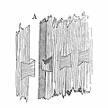 Assemblage à queue d'aronde - Eugène Viollet-le-Duc - Dictionnaire raisonné de l'architecture française du XIe au XVIe s.