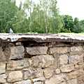 Couvertine du mur du cimetière de l’église catholique<br />Kuttolsheim, en Kochersberg  - Photo M.-G. Brun