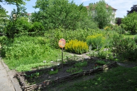 Le jardin potager et des senteurs