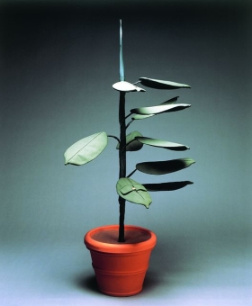 Peter Rösel, Ficus elastica decora I, 1997