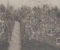 Vue des carrés paysagers du cimetière Nord de Strasbourg en voie d’occupation par les tombes, vers 1930 - 