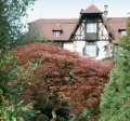 Jardin japonais, Parc du Château de la Leonardsau - Photo F. Zvardon © Région Alsace - Service de l’Inventaire et du Patrimoine