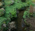 Rocaille et rivière anglaise, Parc du Château de la Leonardsau - Photo F. Zvardon © Région Alsace - Service de l’Inventaire et du Patrimoine, 2007