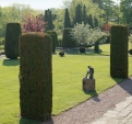 Alignement de topiaires, 
Jardin du château de Kolbsheim - Photo F. Zvardon © Région Alsace - Service de l’Inventaire et du Patrimoine, 2007